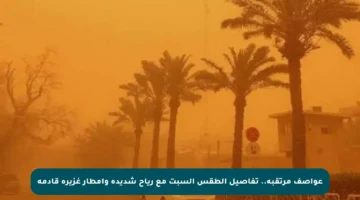 عواصف مرتقبة.. تفاصيل الطقس السبت مع رياح شديدة وأمطار غزيرة قادمة